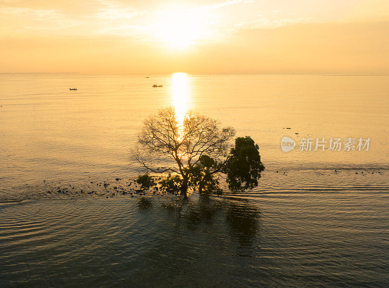 Sunrise on Tan Thanh alluvial sea, Tien Giang province, Mekong Delta